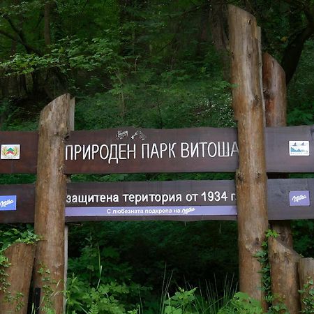 Pinus Villas Lodge With Private Jacuzzi & Phyto-Sauna Retreat Zheleznitsa Zewnętrze zdjęcie