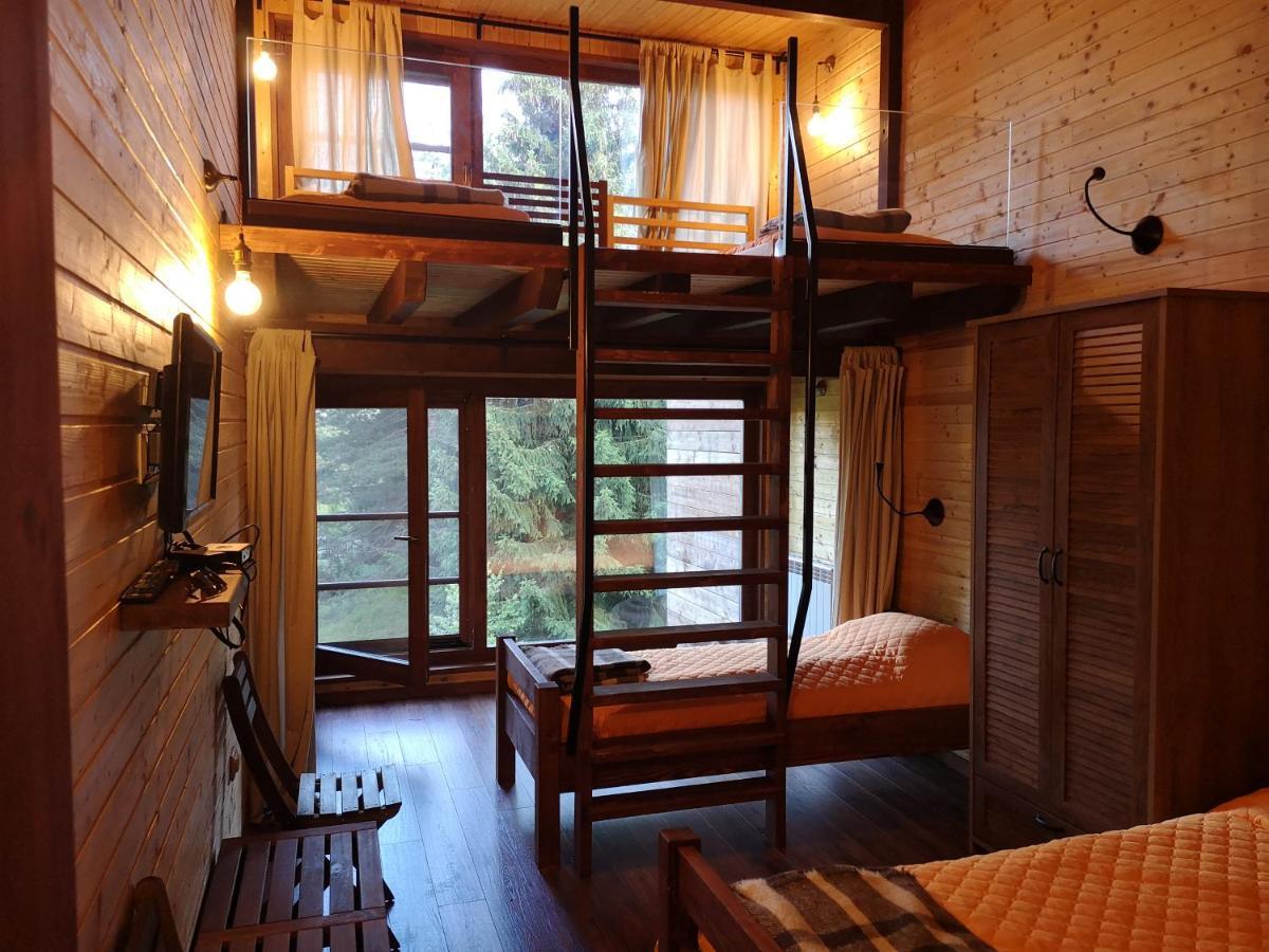 Pinus Villas Lodge With Private Jacuzzi & Phyto-Sauna Retreat Zheleznitsa Zewnętrze zdjęcie