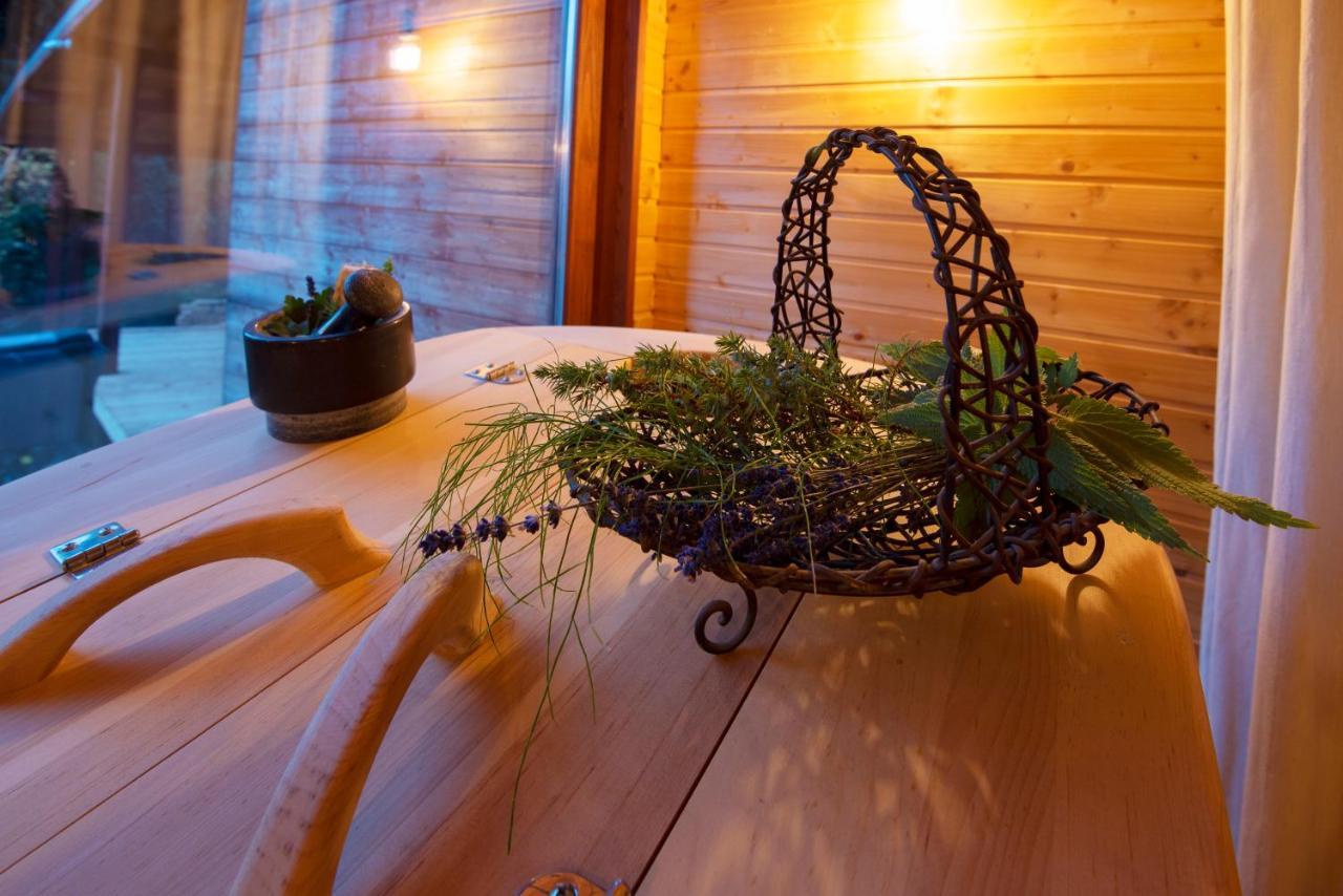 Pinus Villas Lodge With Private Jacuzzi & Phyto-Sauna Retreat Zheleznitsa Zewnętrze zdjęcie
