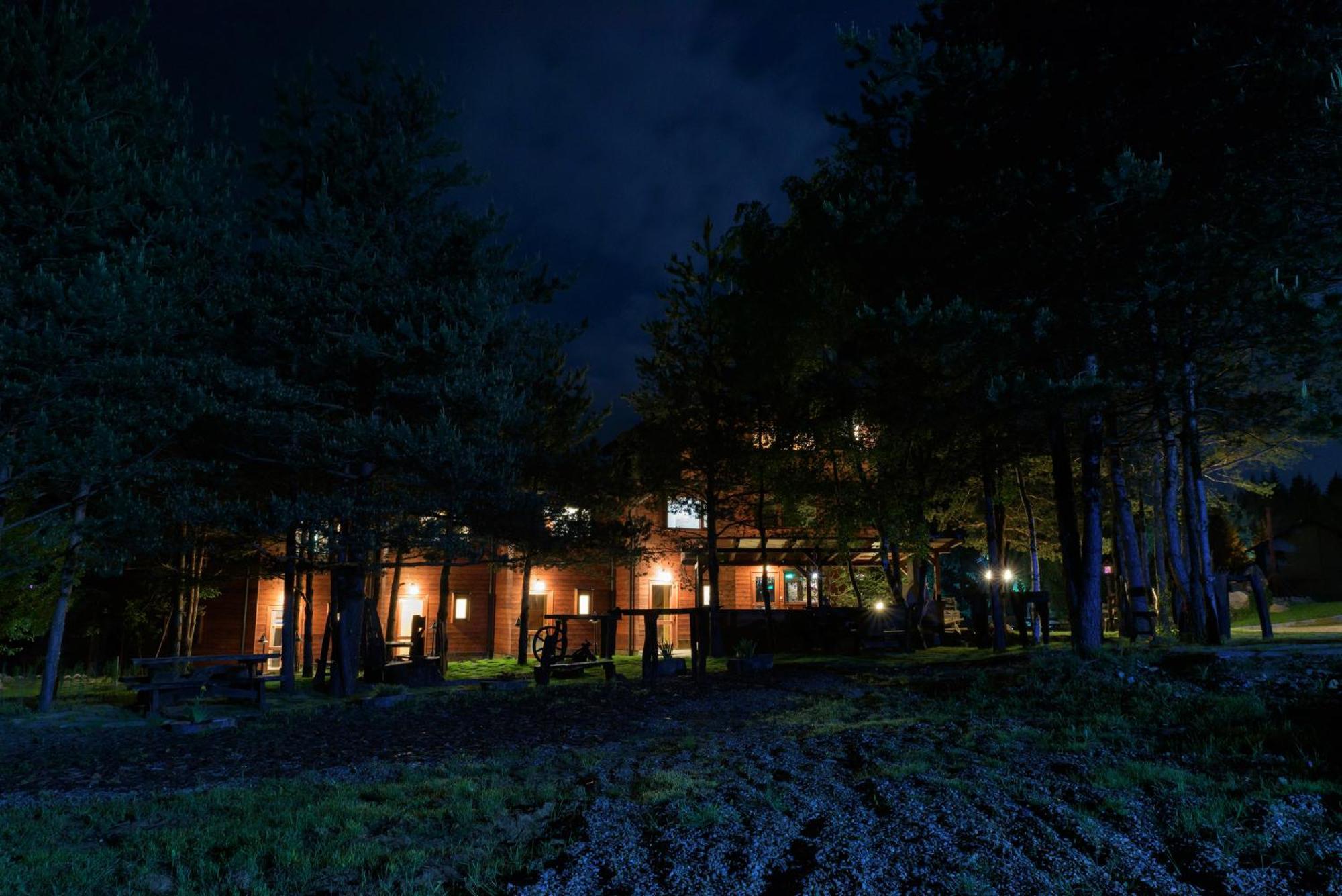 Pinus Villas Lodge With Private Jacuzzi & Phyto-Sauna Retreat Zheleznitsa Zewnętrze zdjęcie