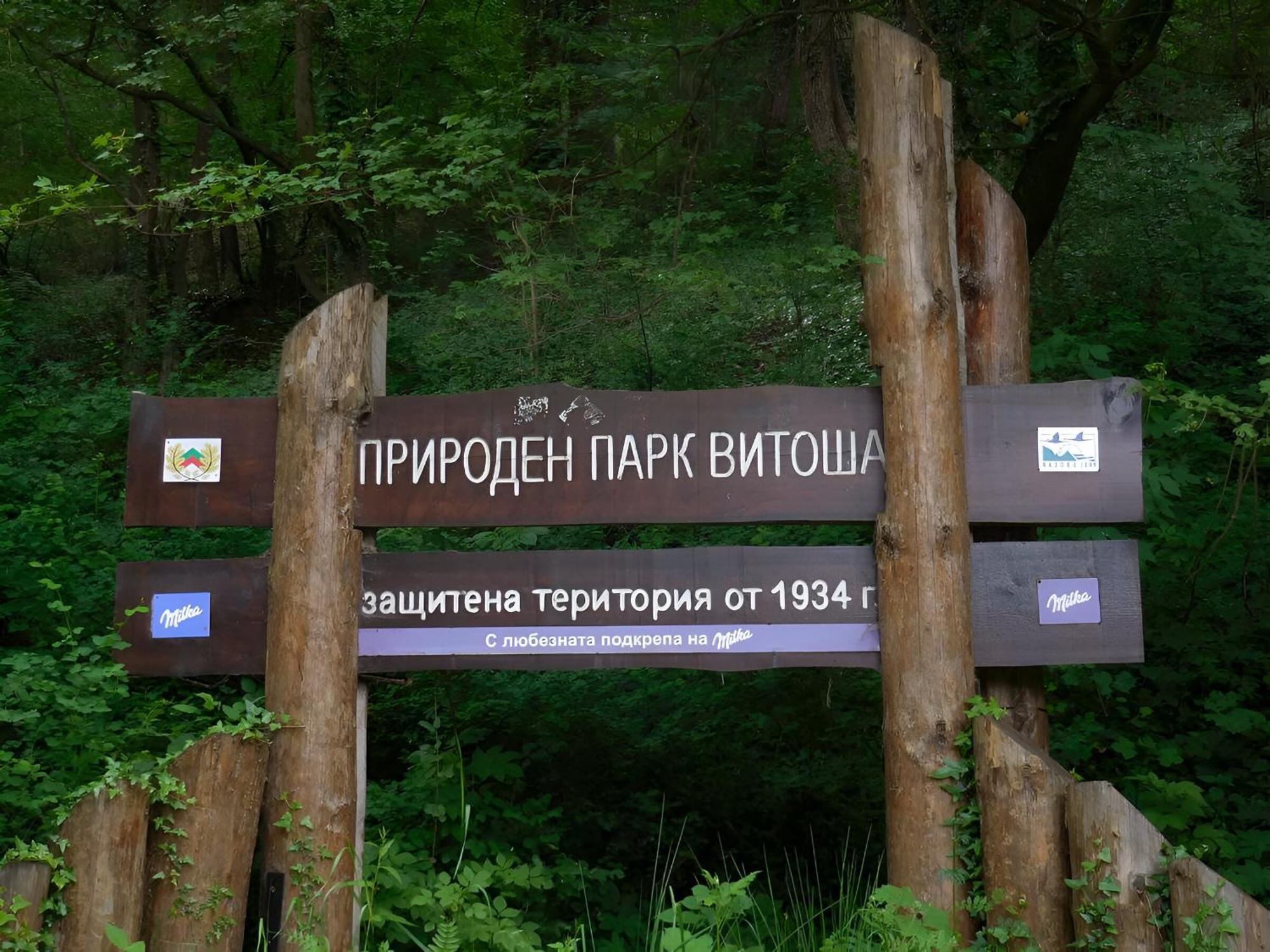 Pinus Villas Lodge With Private Jacuzzi & Phyto-Sauna Retreat Zheleznitsa Zewnętrze zdjęcie